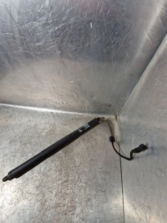 Tailgate/trunk strut/damper 669923
