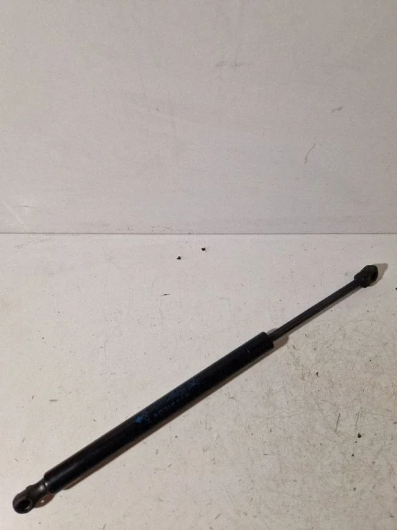Tailgate/trunk strut/damper