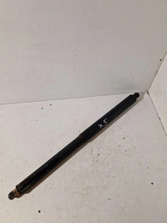 Tailgate/trunk strut/damper 3972VU