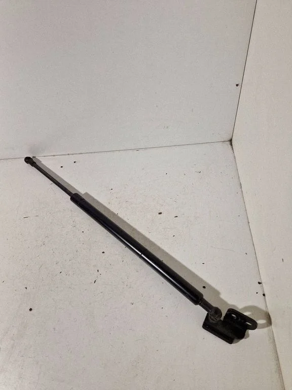 Tailgate/trunk strut/damper 1582216020N