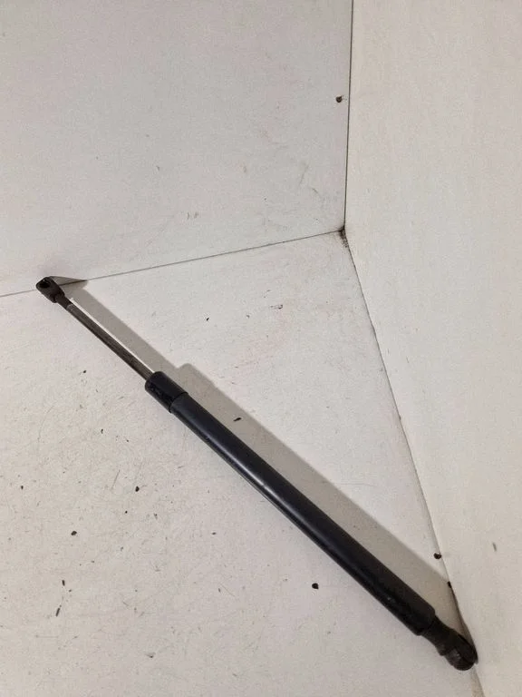 Tailgate/trunk strut/damper