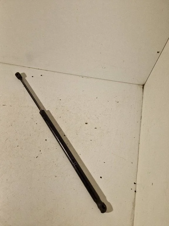 Tailgate/trunk strut/damper 689500F011
