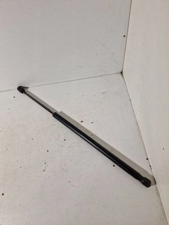 Tailgate/trunk strut/damper 689500F011