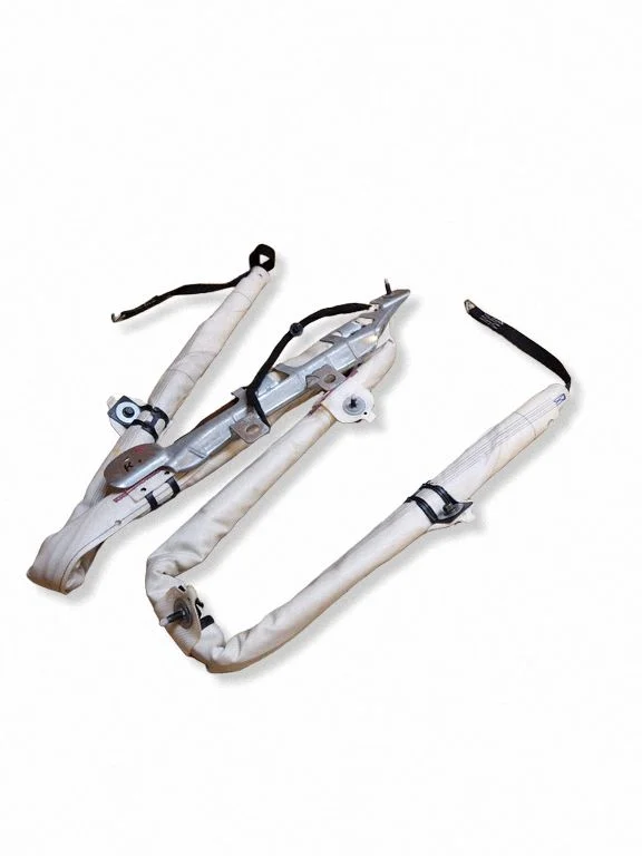 Roof airbag 272585