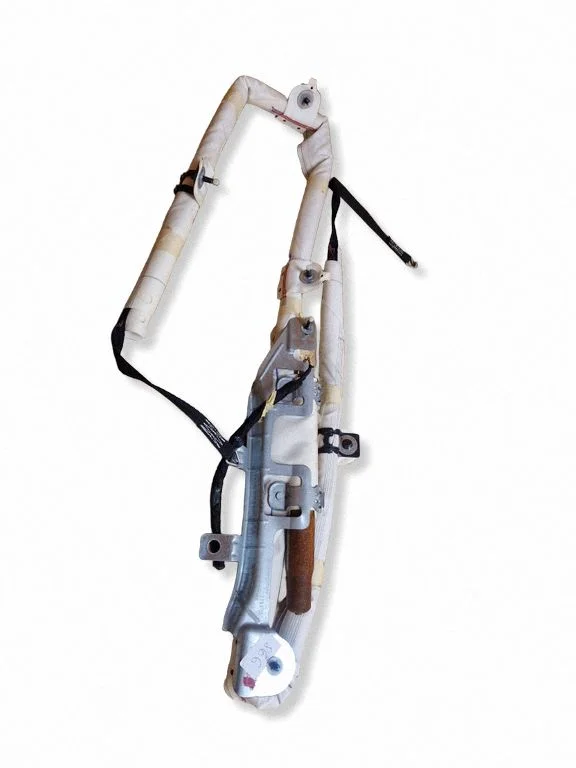 Roof airbag 311675