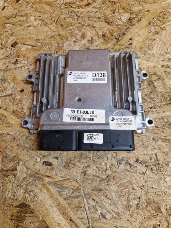 Engine control unit/module 391B503DL8