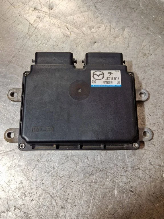 Engine control unit/module L5E218881A