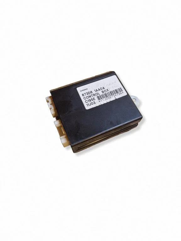Other control units/modules – Nissan Murano Z51 (2009-2016)