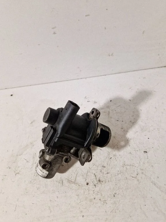 EGR-klapp 70036806