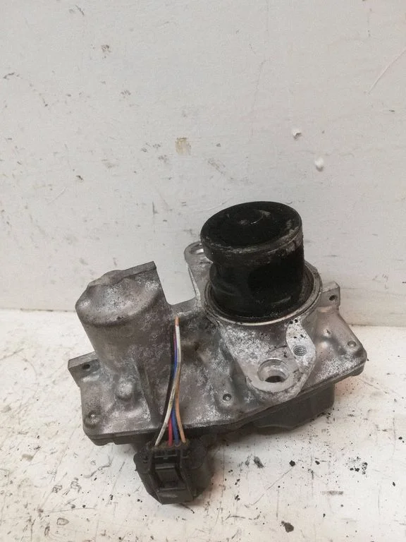 EGR-klapp 147101478R