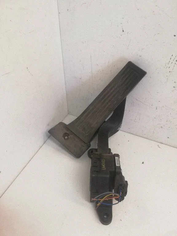 Accelerator throttle pedal 0113B2S100