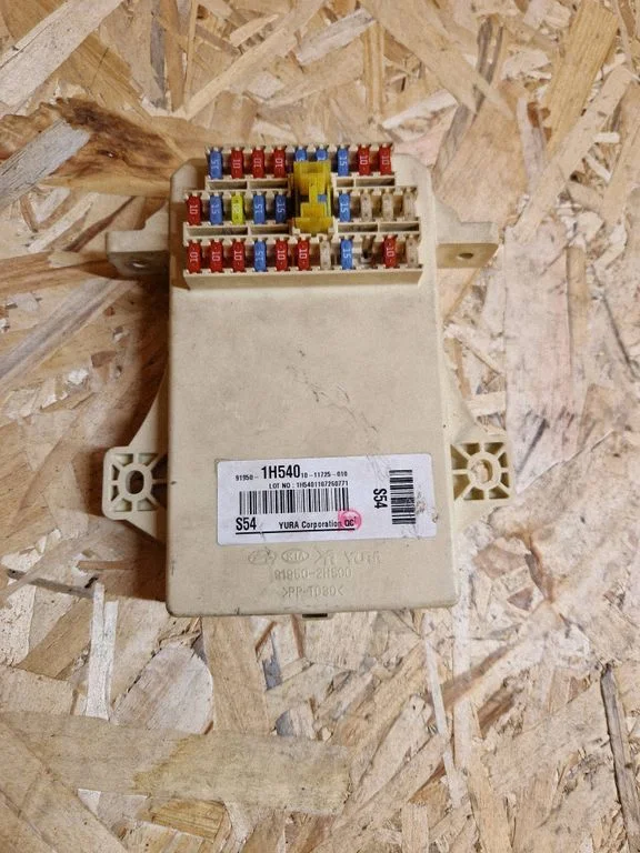 Fuse module 919501H540