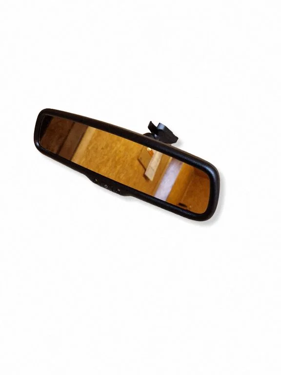 Rear view mirror (interior) E11026001