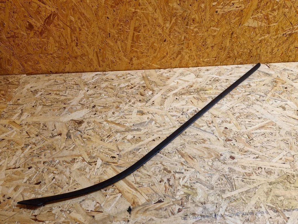 Windshield trim AM51R03195