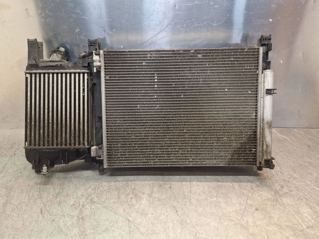 Radiaatorite komplekt 214818009R