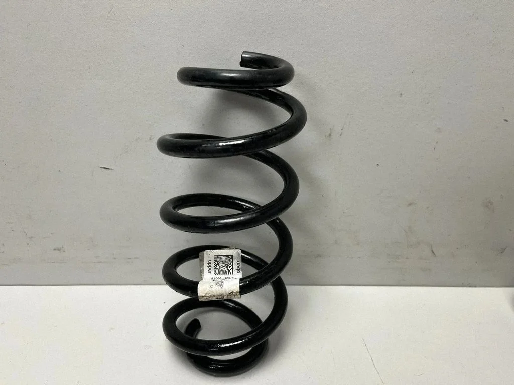 Rear coil spring 8860360