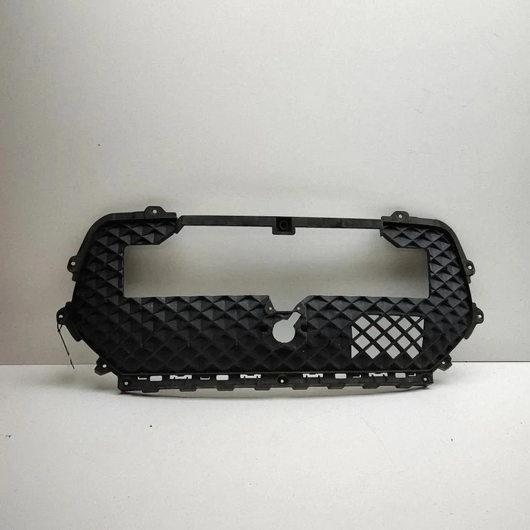Front grill 9819670477