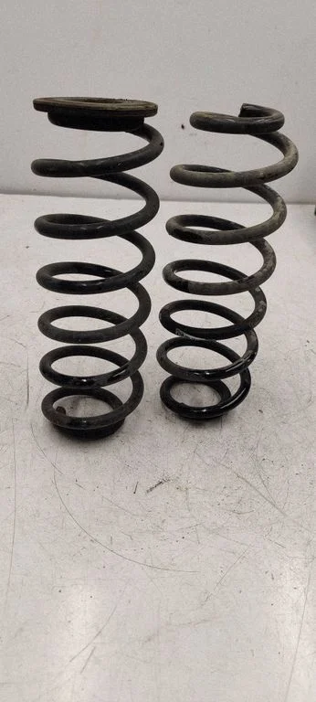 Rear coil spring