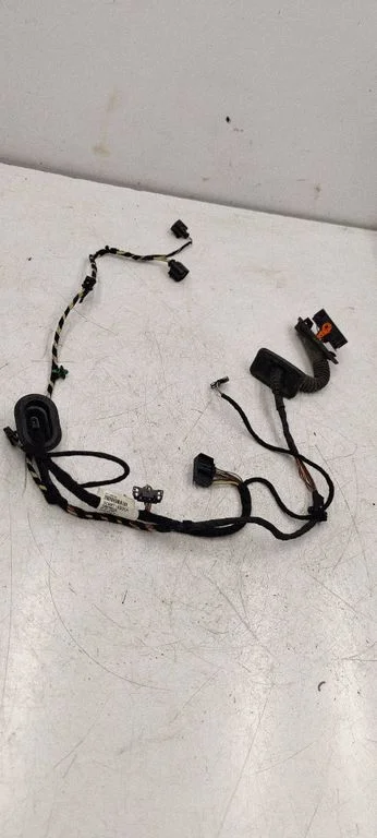 Rear door wiring loom 3C8971693CH