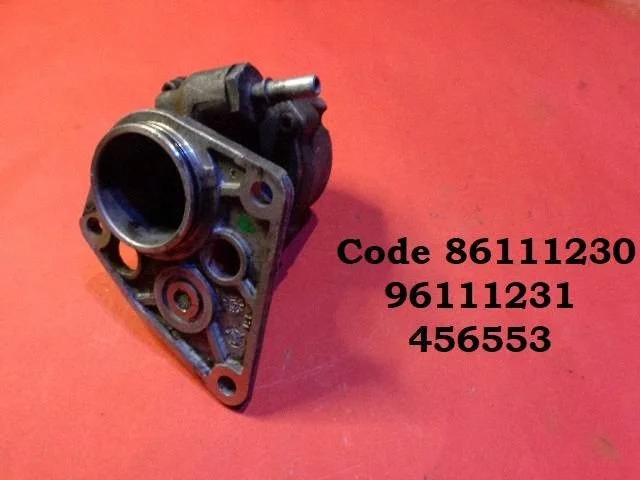 Vacuum pump – Peugeot 406 (1996-1999)