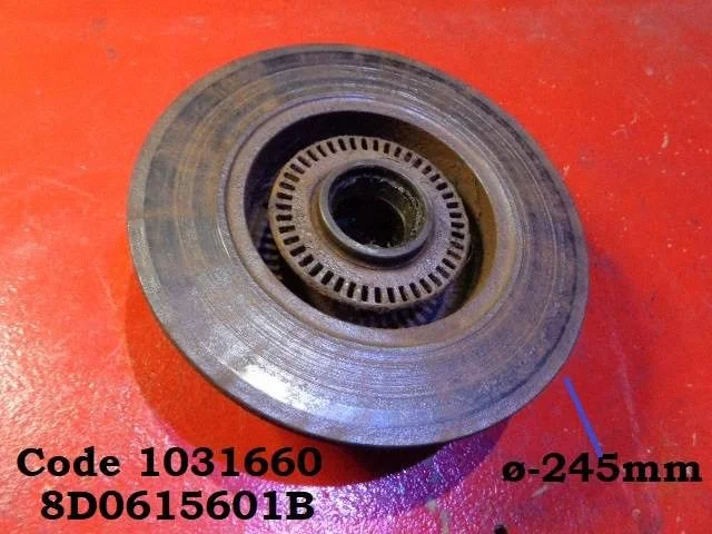 Aizmugurējais bremžu disks 1031660