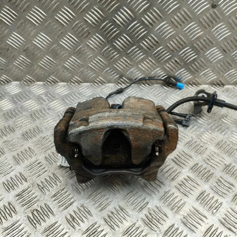 Esimene pidurisadul 6891047