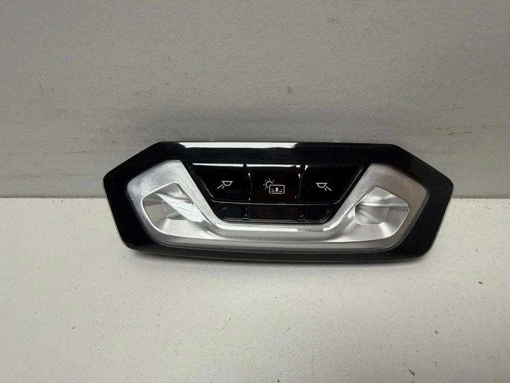 Esiistmete valgustustuli – BMW X7 G07 (2018-)