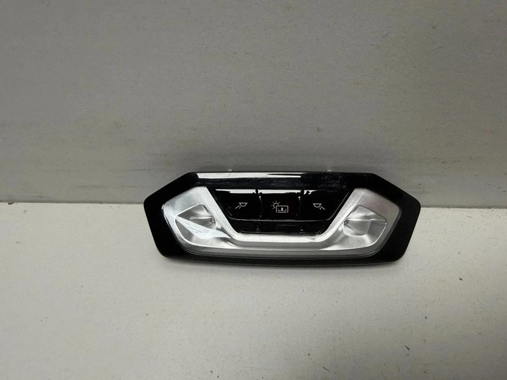 Esiistmete valgustustuli – BMW X7 G07 (2018-)