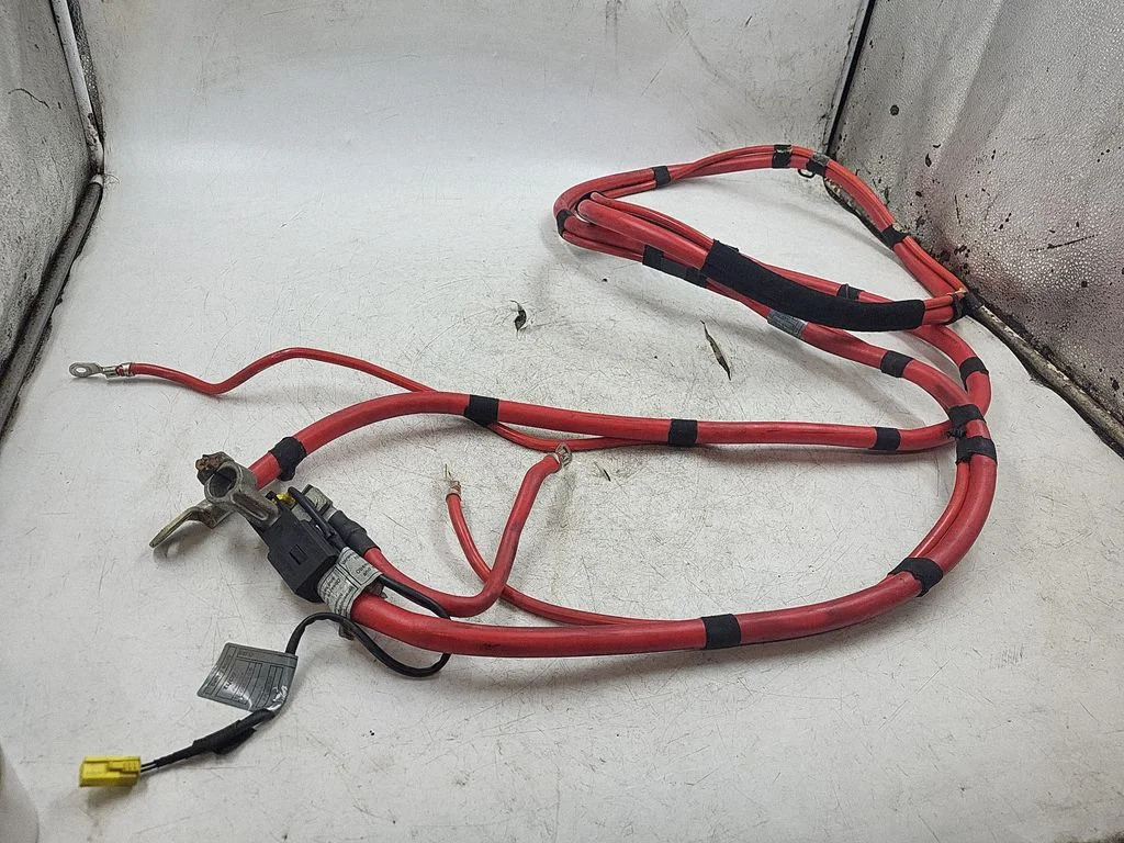 Positive cable (battery) 6902226