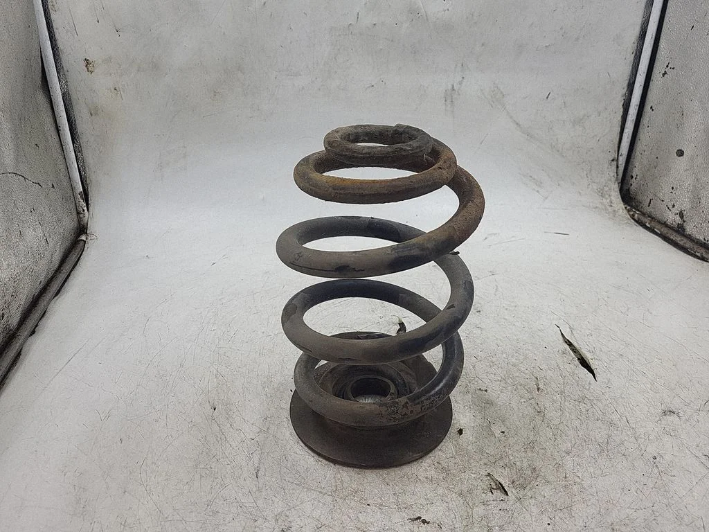 Rear coil spring