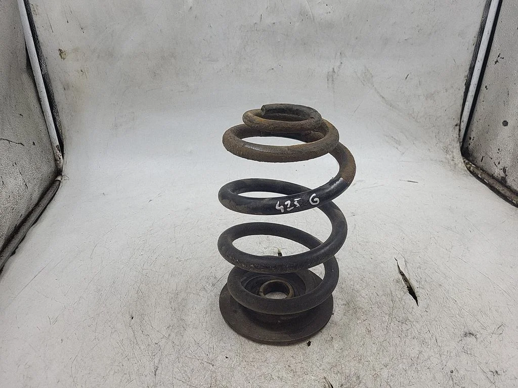 Rear coil spring