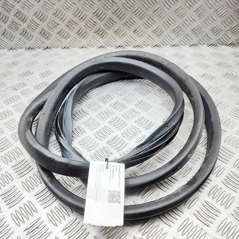 Kupee esiukse tihend 808326516R