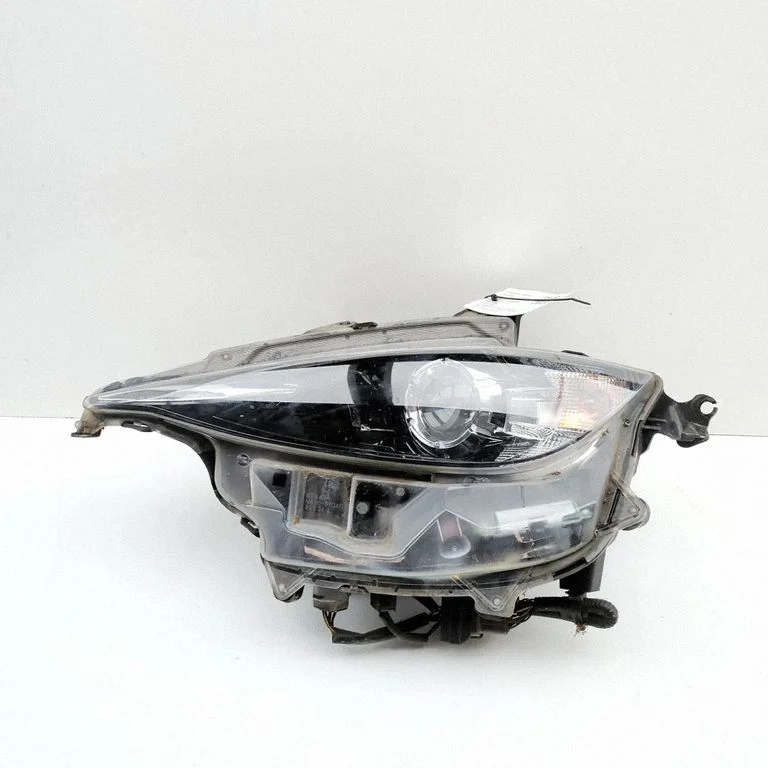 Headlight/headlamp N24451040
