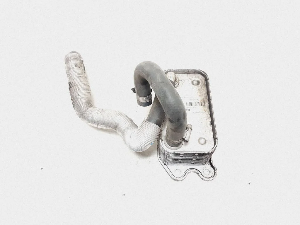 Mootoriõli radiaator 31201911