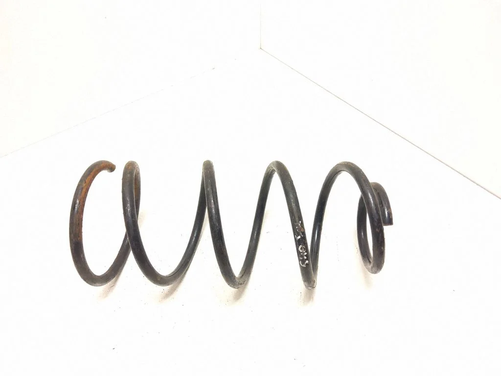 Front coil spring