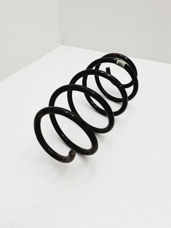 Front coil spring DG9C5310