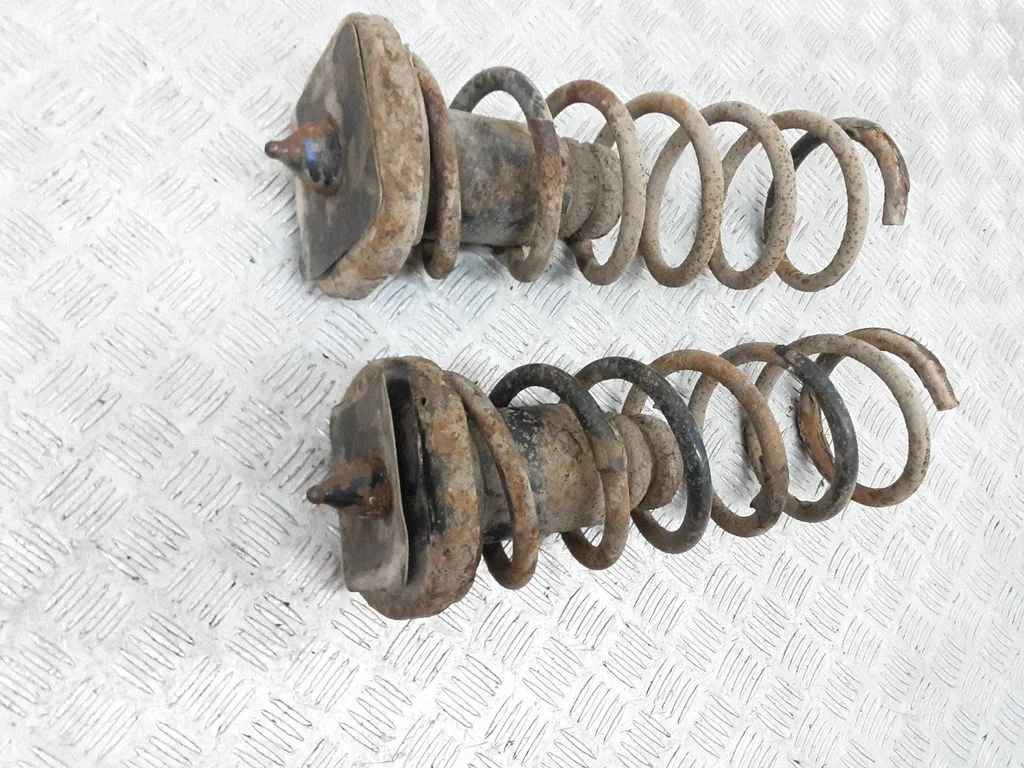 Rear coil spring