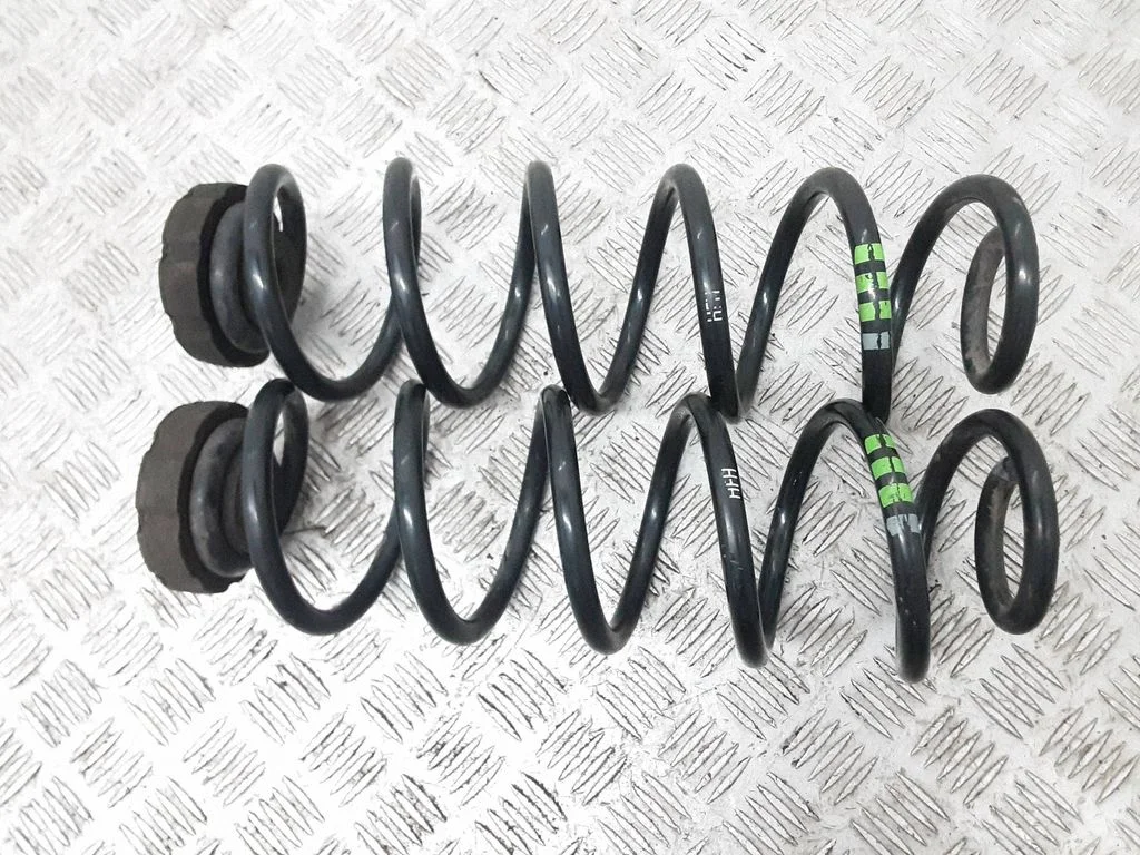 Rear coil spring