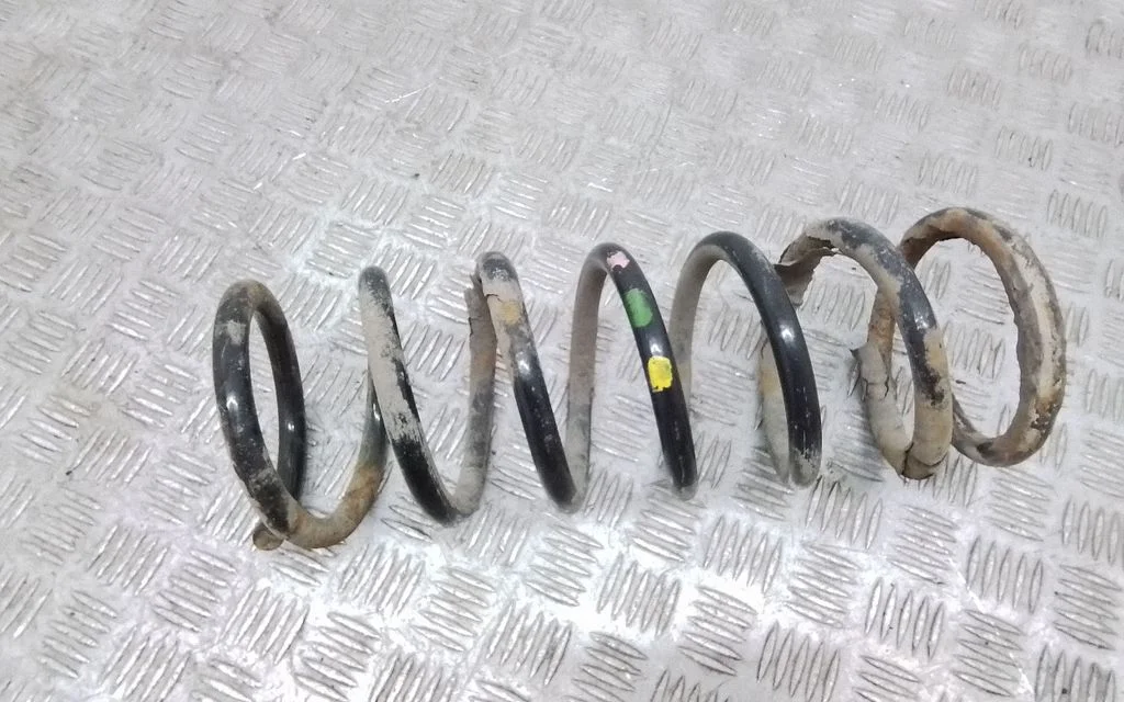 Rear coil spring