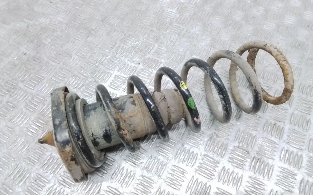Rear coil spring