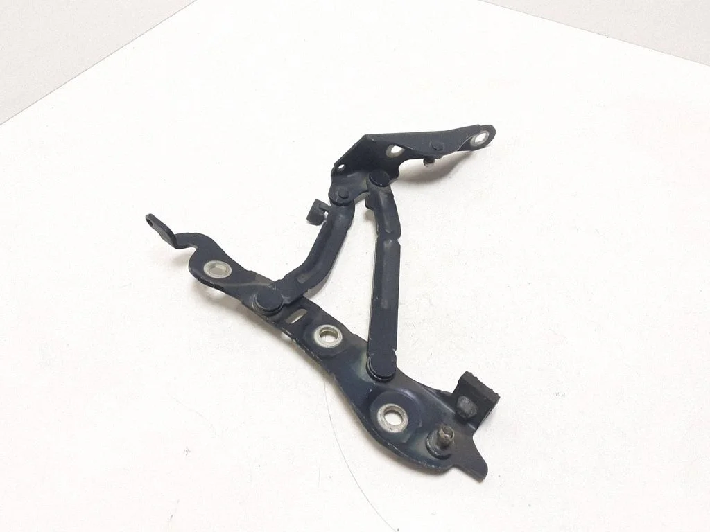 Tailgate/trunk/boot hinge – rear right
