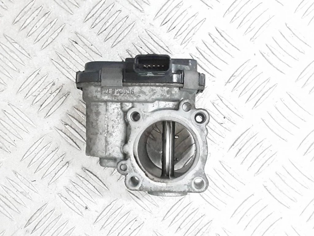 Throttle valve 9673534480