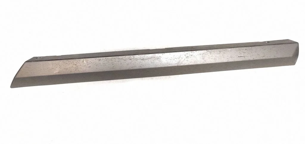 Rear door trim (molding) 39885654