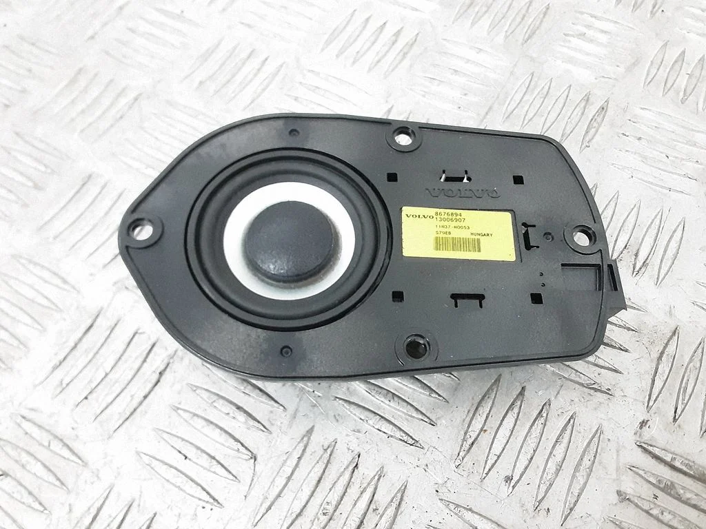 Front door high frequency speaker 8676894