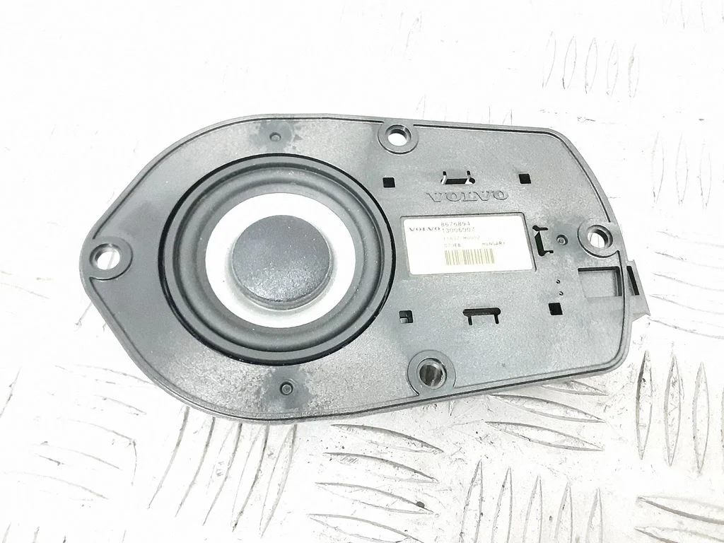 Front door high frequency speaker 8676894