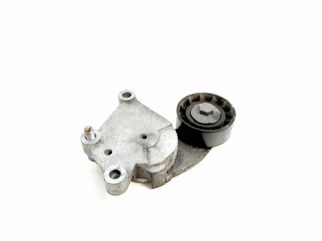 Timing belt/chain tensioner 846143