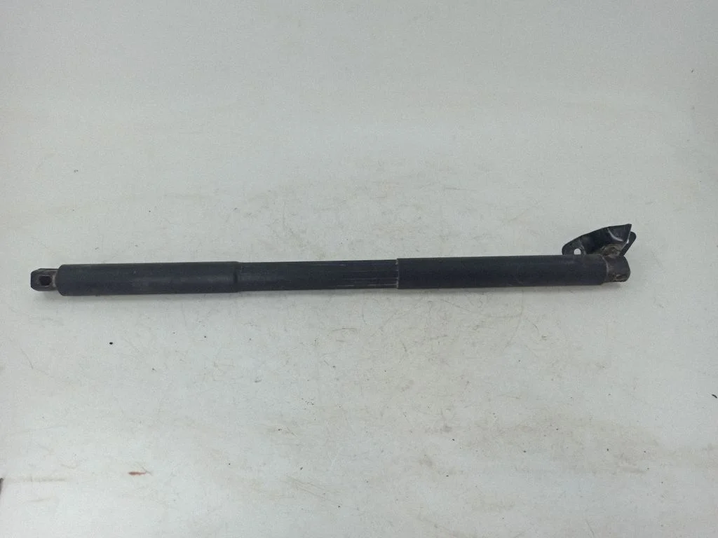 Tailgate/trunk strut/damper A1669802164