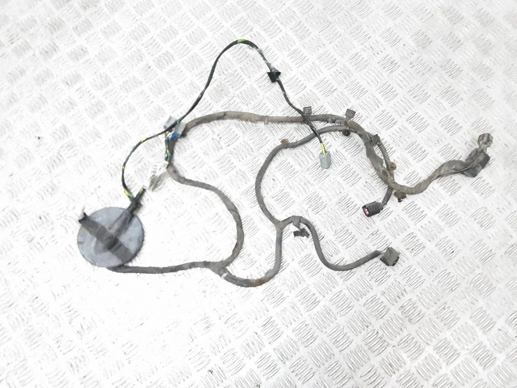 Other wiring loom 30798847