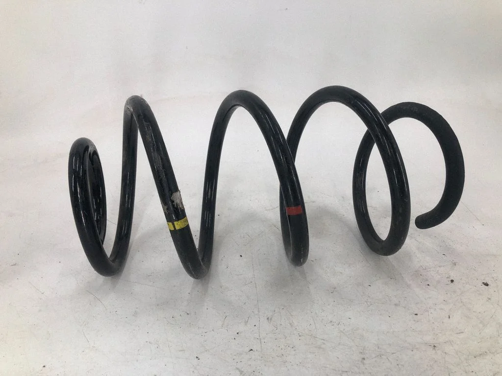 Rear coil spring