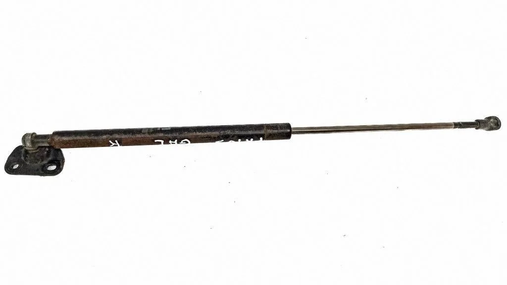 Tailgate/trunk strut/damper – rear left